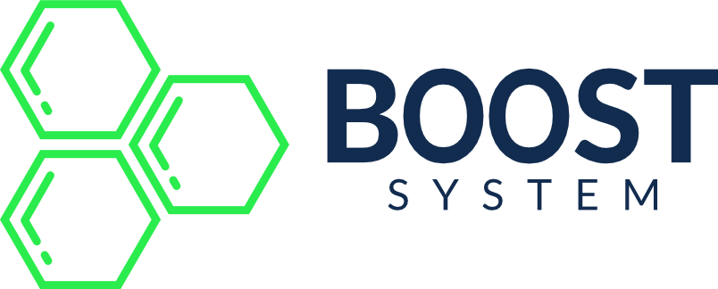 Boost system 